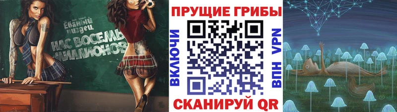 Галлюциногенные грибы Psilocybine cubensis  Купить  Кулебаки 